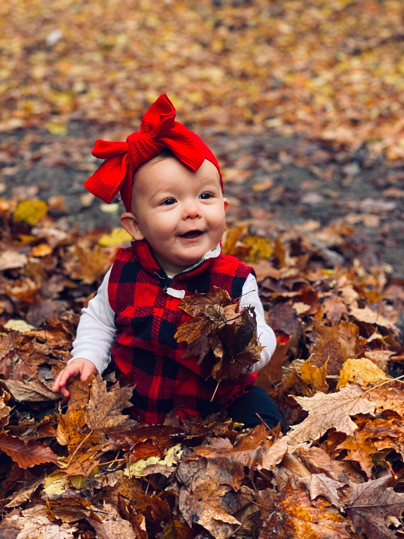 Amariyah joined the competition — help win amazing prizes! autumn, child, deciduous, headwear, joy, leaf, person, plant, red, smile, toddler, tree, wood