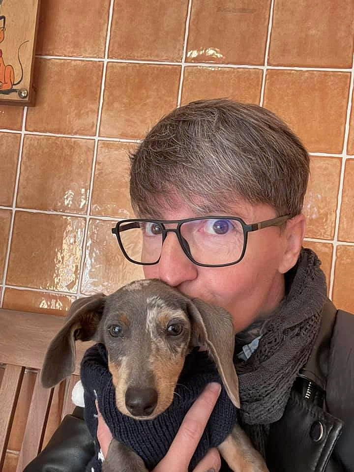 Floppy a rejoint le concours — aidez-le/la à gagner de superbes lots ! carnivore, clothing, companion_dog, cool, dog, dog_breed, ear, eye, face, fawn, glasses, happy, head, iris, jaw, nose, organ, smile, vision_care, working_animal
