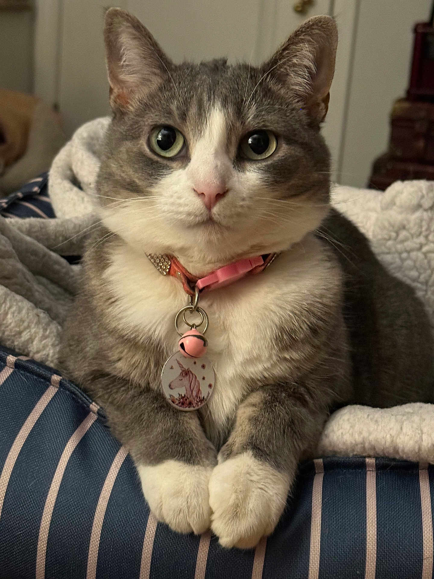 Gracie May
