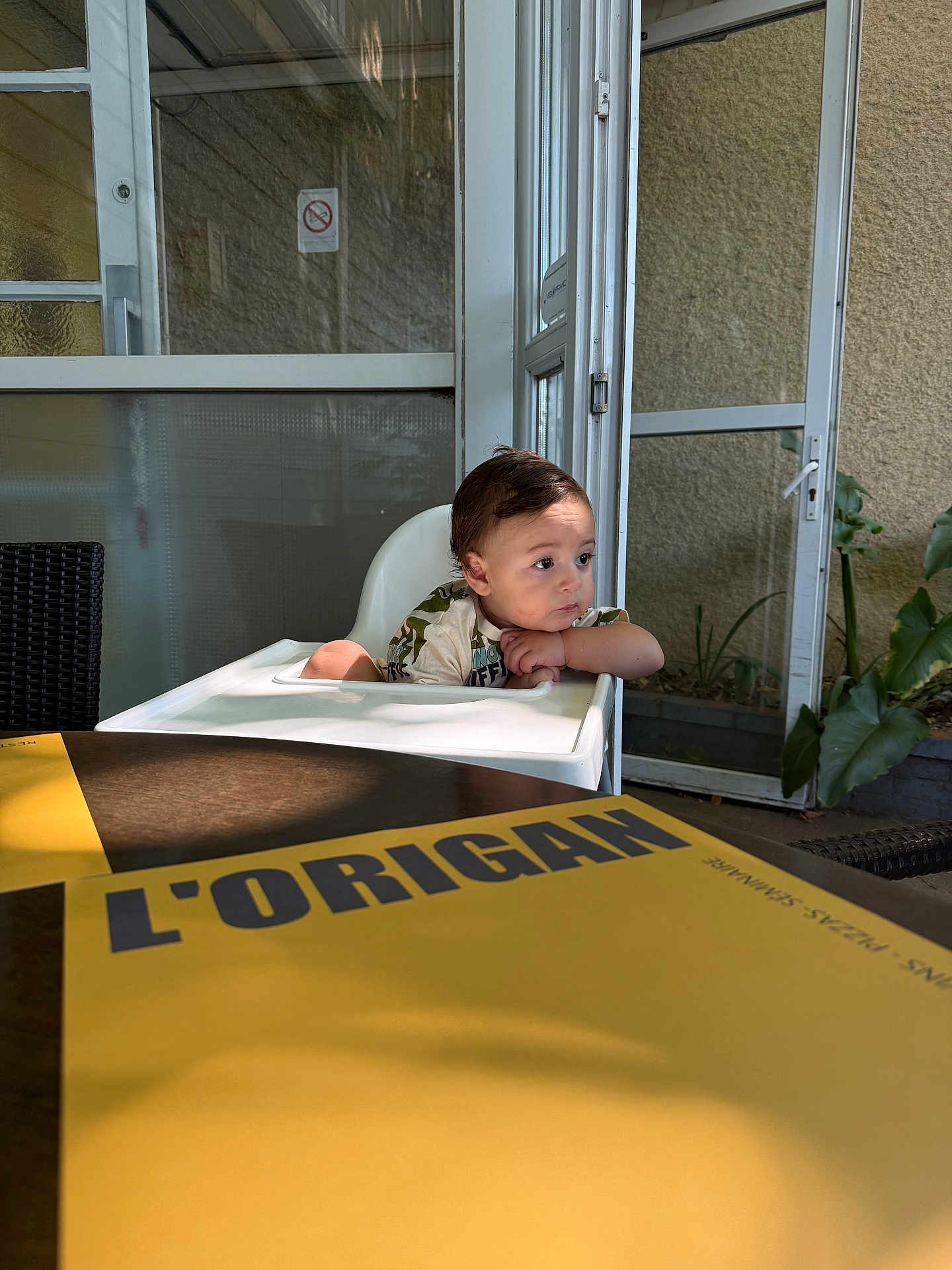 Aïden participe au concours pour gagner de l'argent avec cette photo : toddler, high_chair, child, menu, indoor, table, chair, plant, window, door, light, shadow, face, person, furniture, clothing, expression, resting, curious, casual