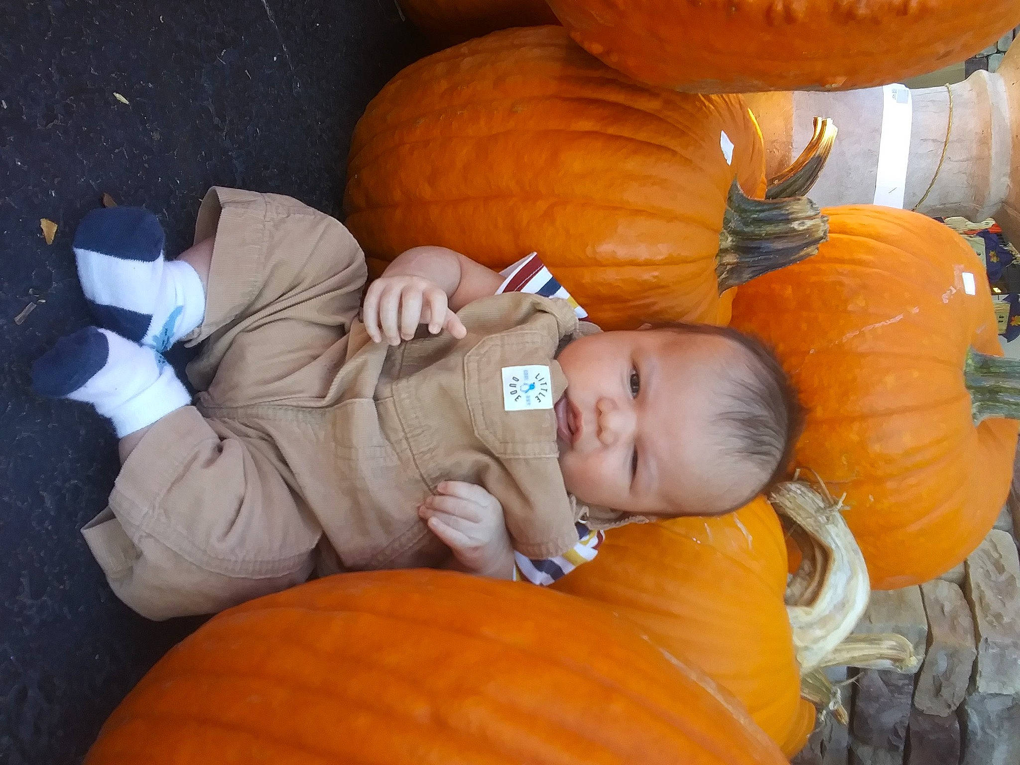 Lee joined the competition — help win amazing prizes! arm, calabaza, comfort, cucurbita, eye, fruit, hair, hand, head, human_body, mouth, natural_foods, orange, organ, person, photograph, plant, pumpkin, squash, winter_squash