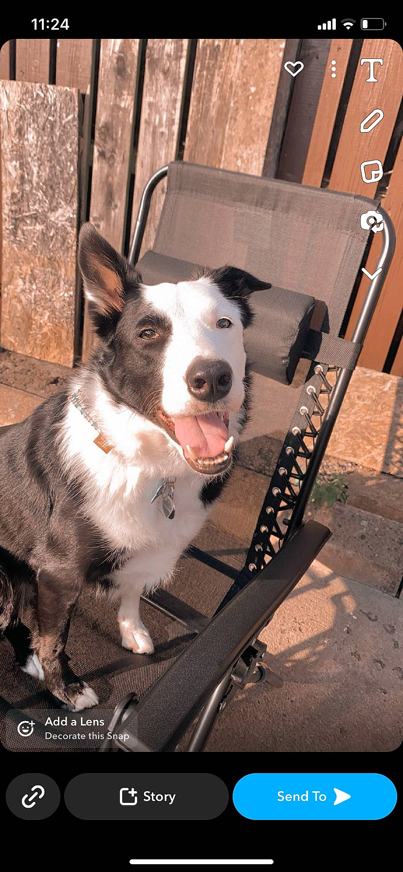 Buddy