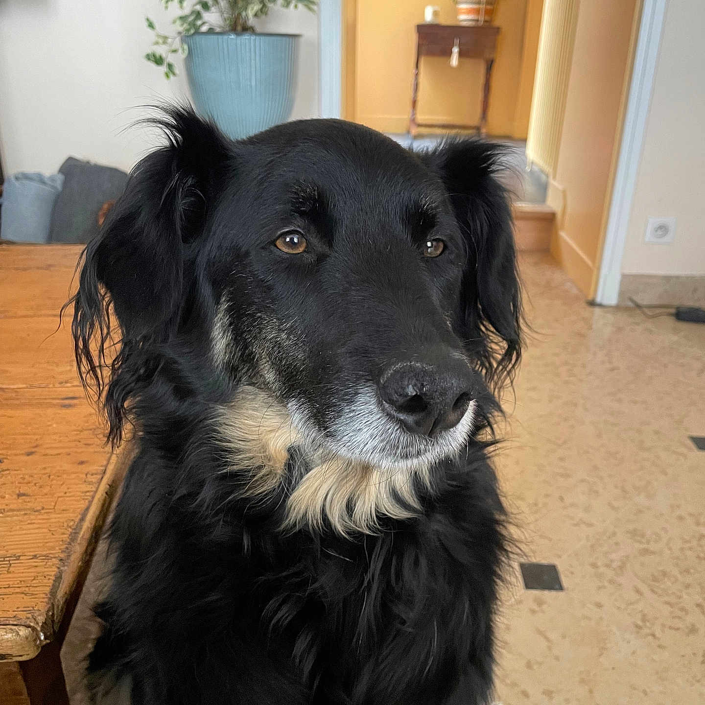 Ruby