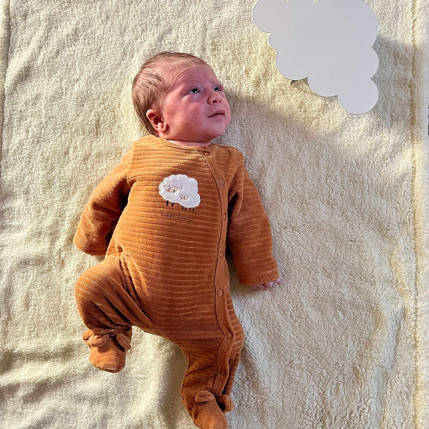 Leo participe au concours pour gagner de l'argent avec cette photo : baby, infant, onesie, orange_clothing, sheep_patch, blanket, soft_texture, lying_down, curious_expression, indoors, newborn, cute, small_hands, small_feet, sleepwear, child, portrait, face, head, skin