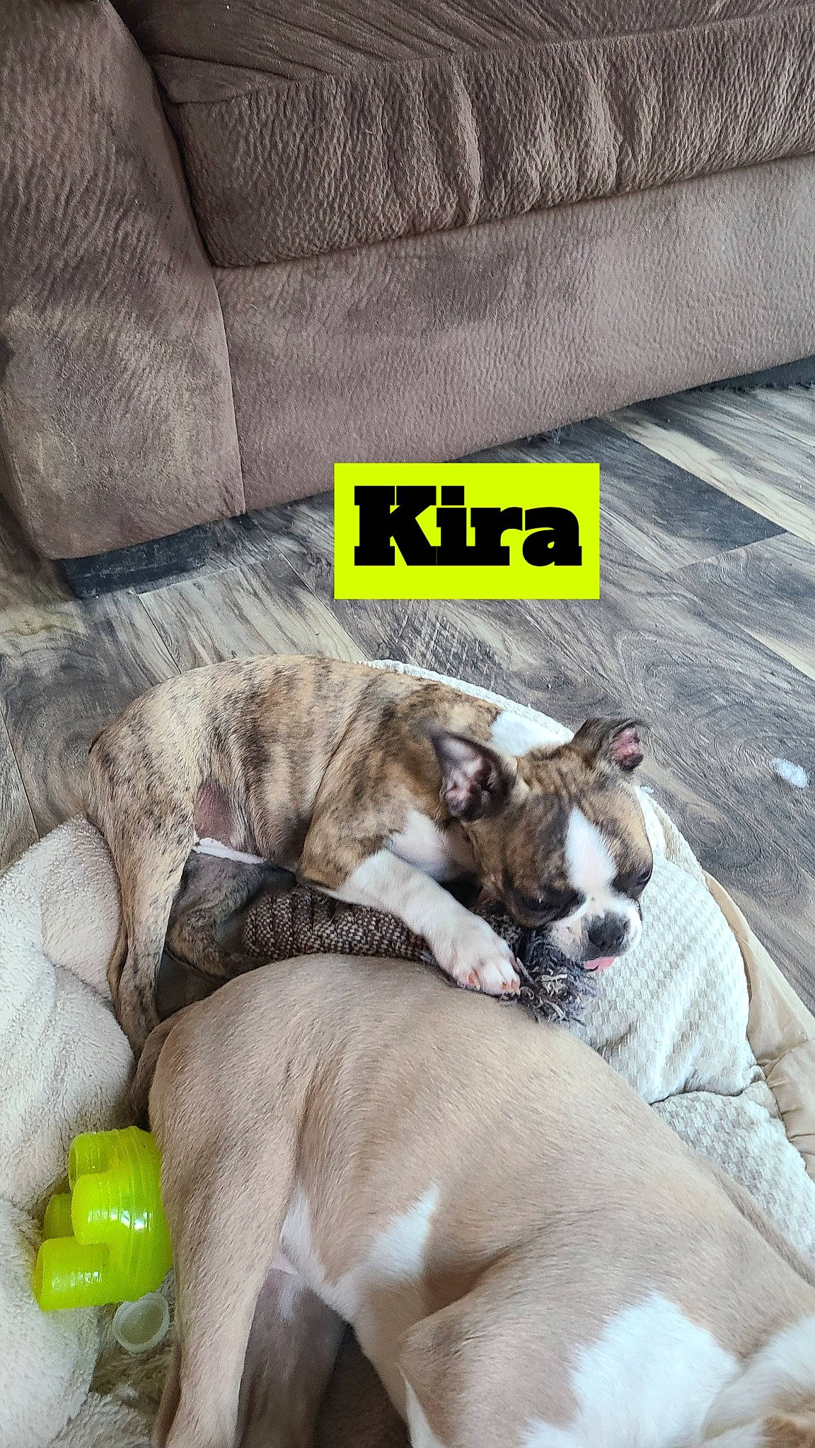 Kira