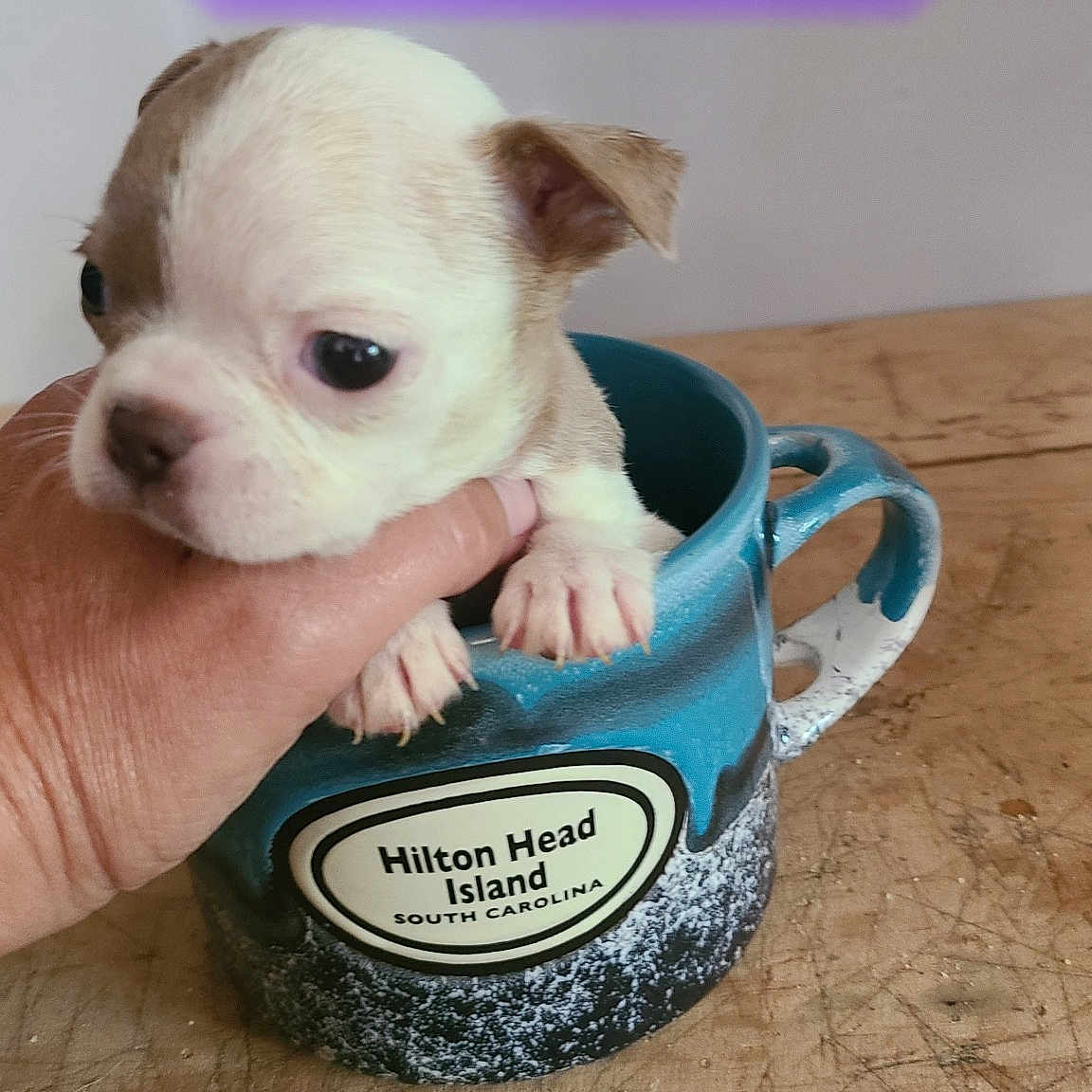 Tiny