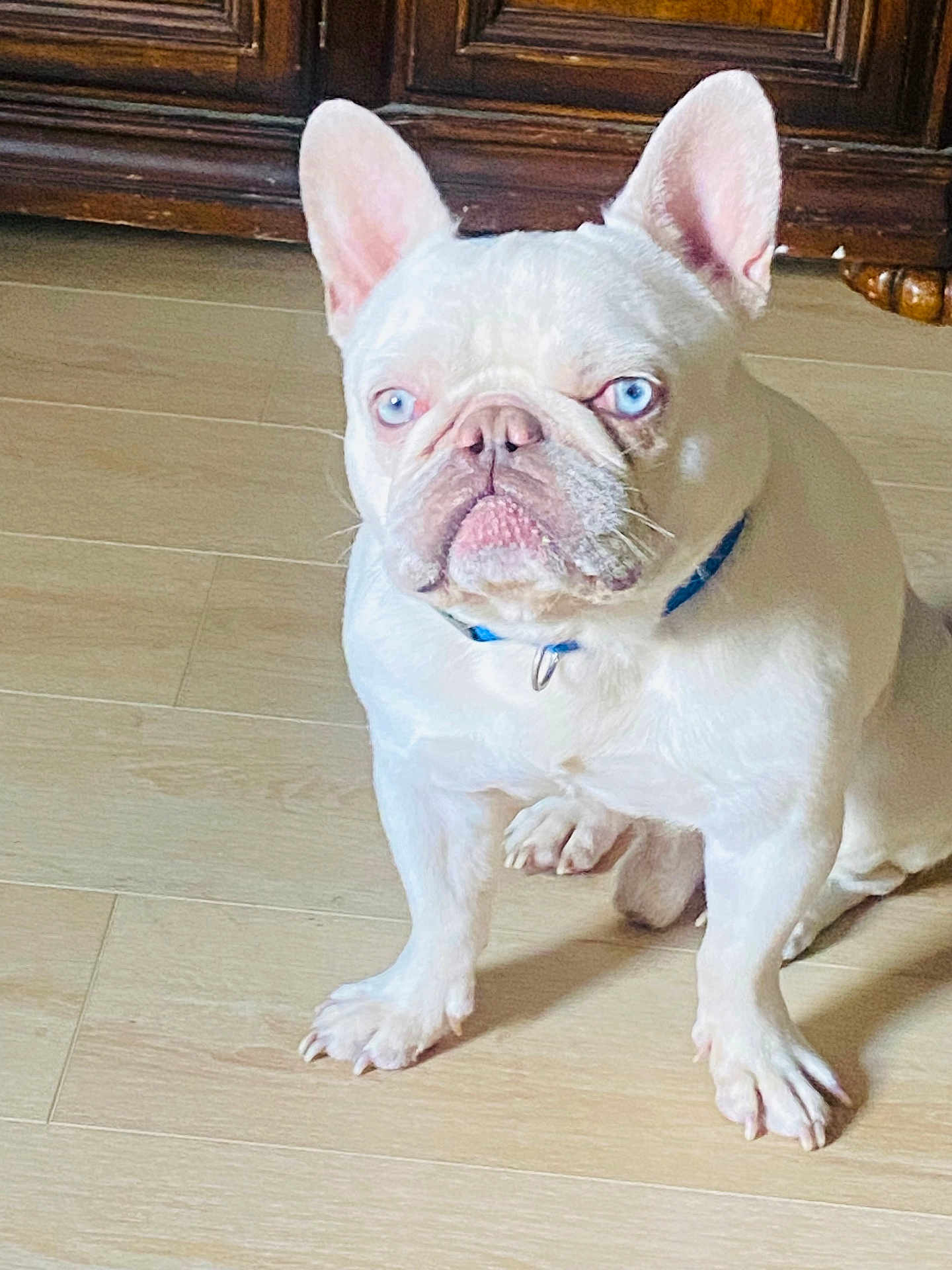 Kyro