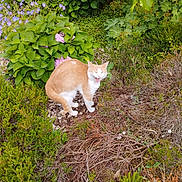 Bambou a rejoint le concours — aidez-le/la à gagner de superbes lots !