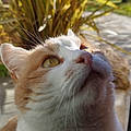 Tom L.