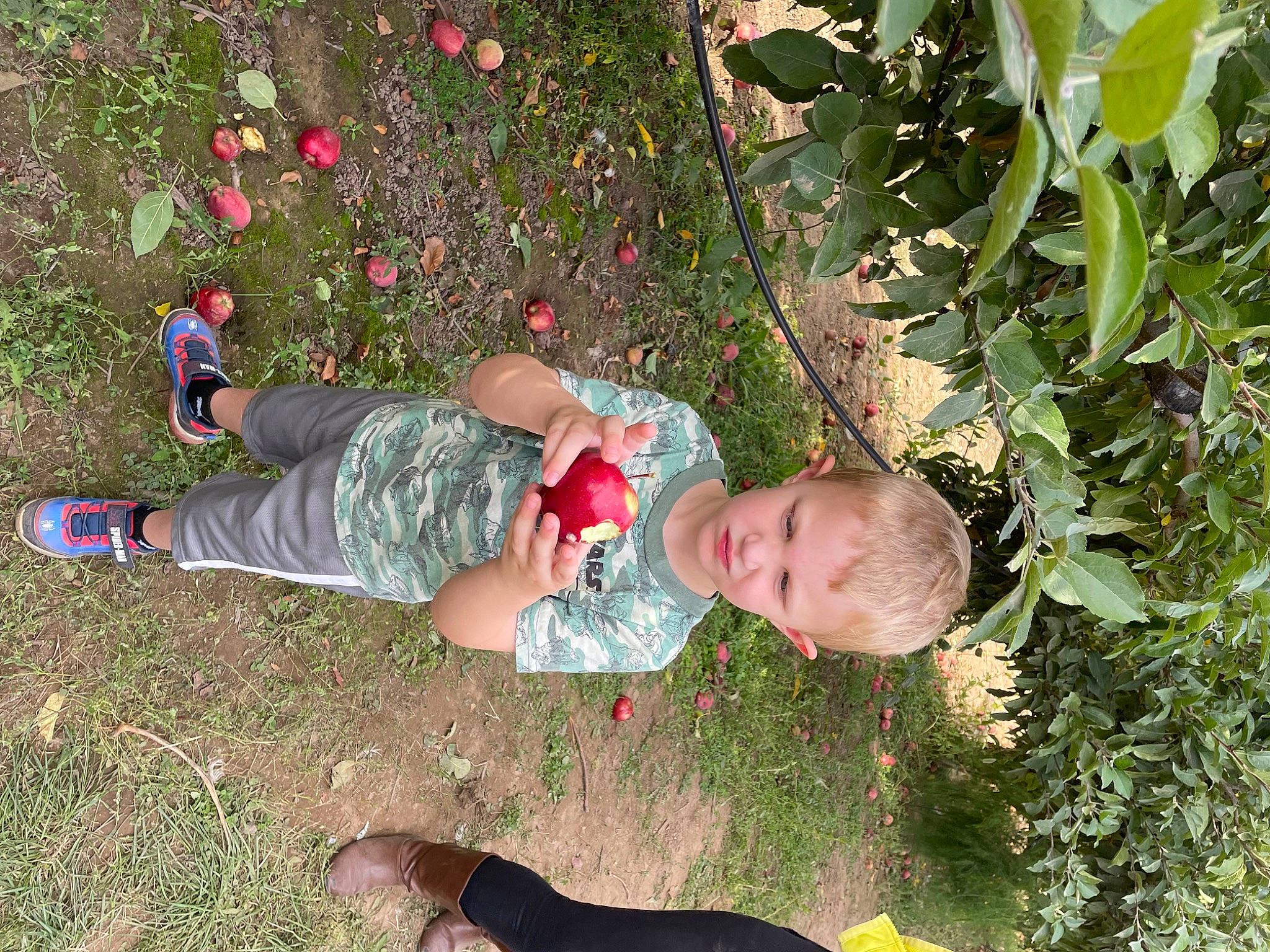 Jaron is registered to the contest to win money with this photo: baby, baby_toddler_clothing, flowering_plant, fun, grass, groundcover, people_in_nature, person, plant, shoe, shrub, sneakers, soil, toddler, tree, walking_shoe