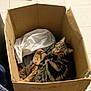 brown, cardboard_box, casual, cat, clothing, container, cozy, domestic, feline, floor, household, indoor, looking_up, pet, resting, sleepy, sneakers, striped, tabby, tile_floor