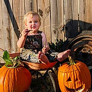Clayton is registered to the contest to win money with this photo: toddler, child, wheelbarrow, pumpkin, jack_o_lantern, outdoor, grass, wooden_fence, sunlight, plant, green_leaves, smiling, barefoot, rusty, fall, harvest, cute, nature, garden, playful