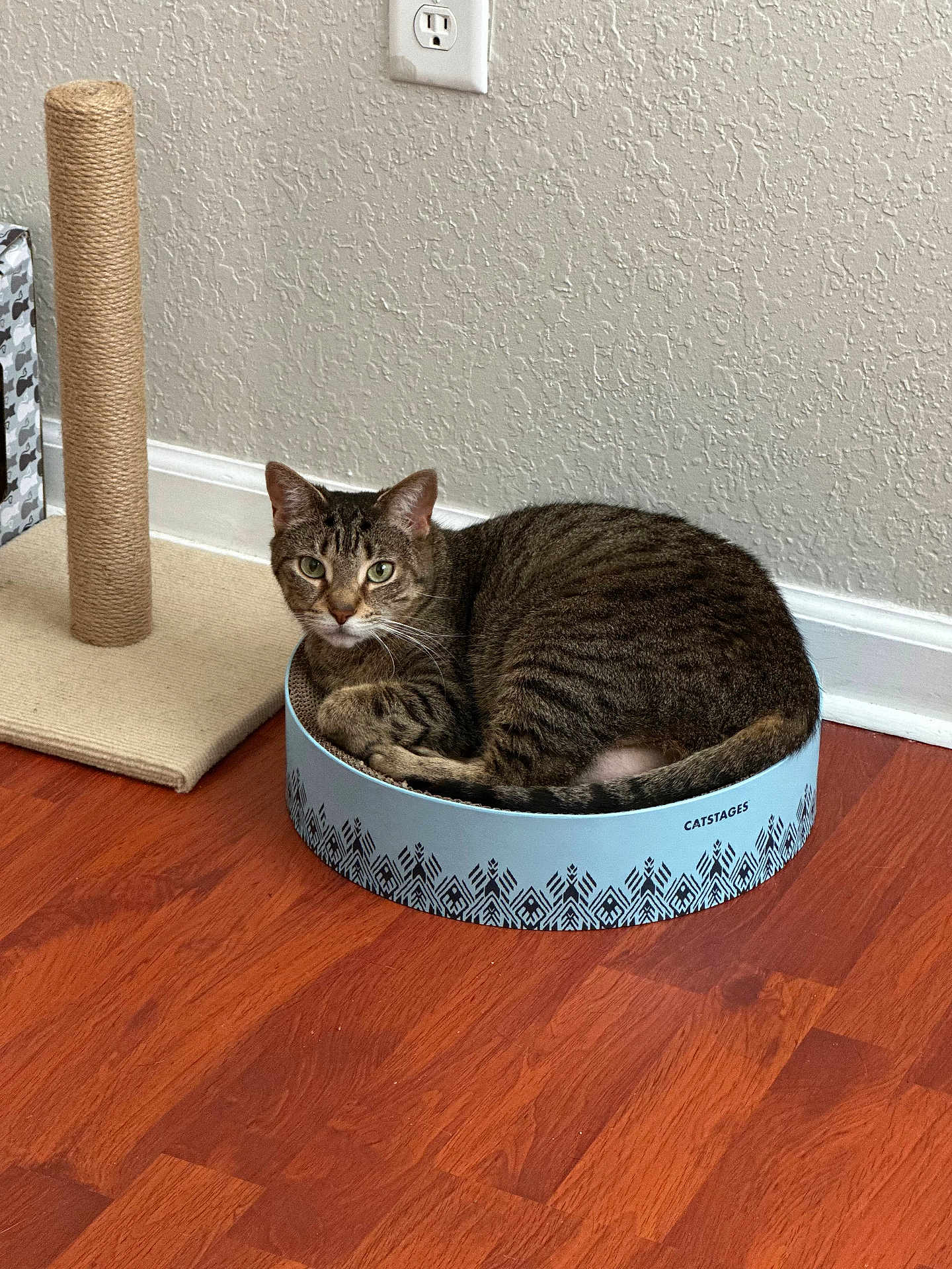 Lilo