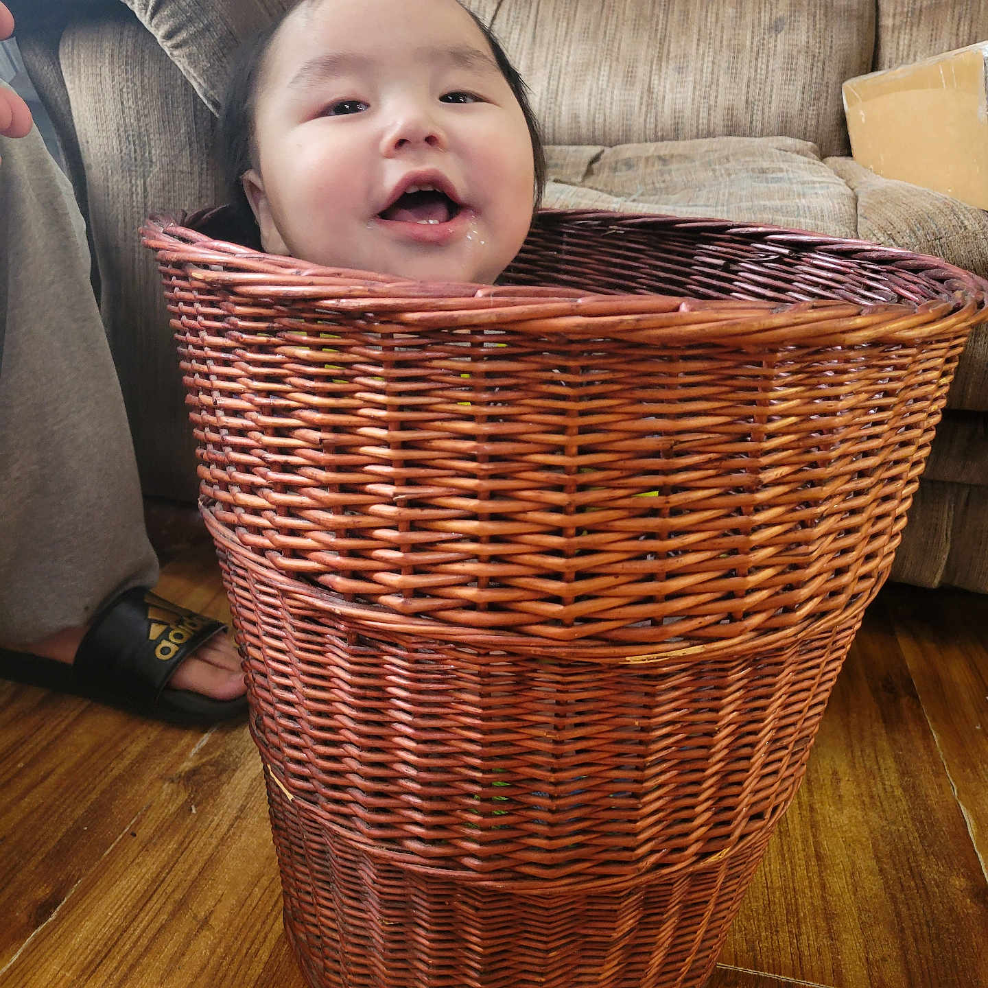 Damian joined the competition — help win amazing prizes! architecture, baby, basket, building, clothing, couch, face, footwear, furniture, hardwood, head, hiding, indoors, livingroom, person, photography, portrait, room, shoe, wood