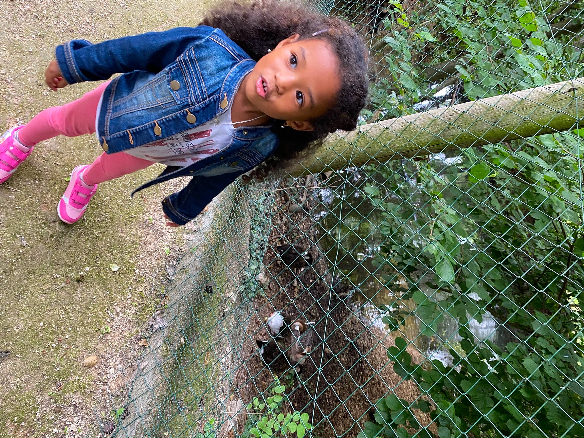 Sora a rejoint le concours — aidez-le/la à gagner de superbes lots ! chain_link_fencing, child, denim, eye, fence, fun, grass, happy, leisure, mesh, people_in_nature, person, plant, recreation, sitting, soil, toddler, tree, wire_fencing