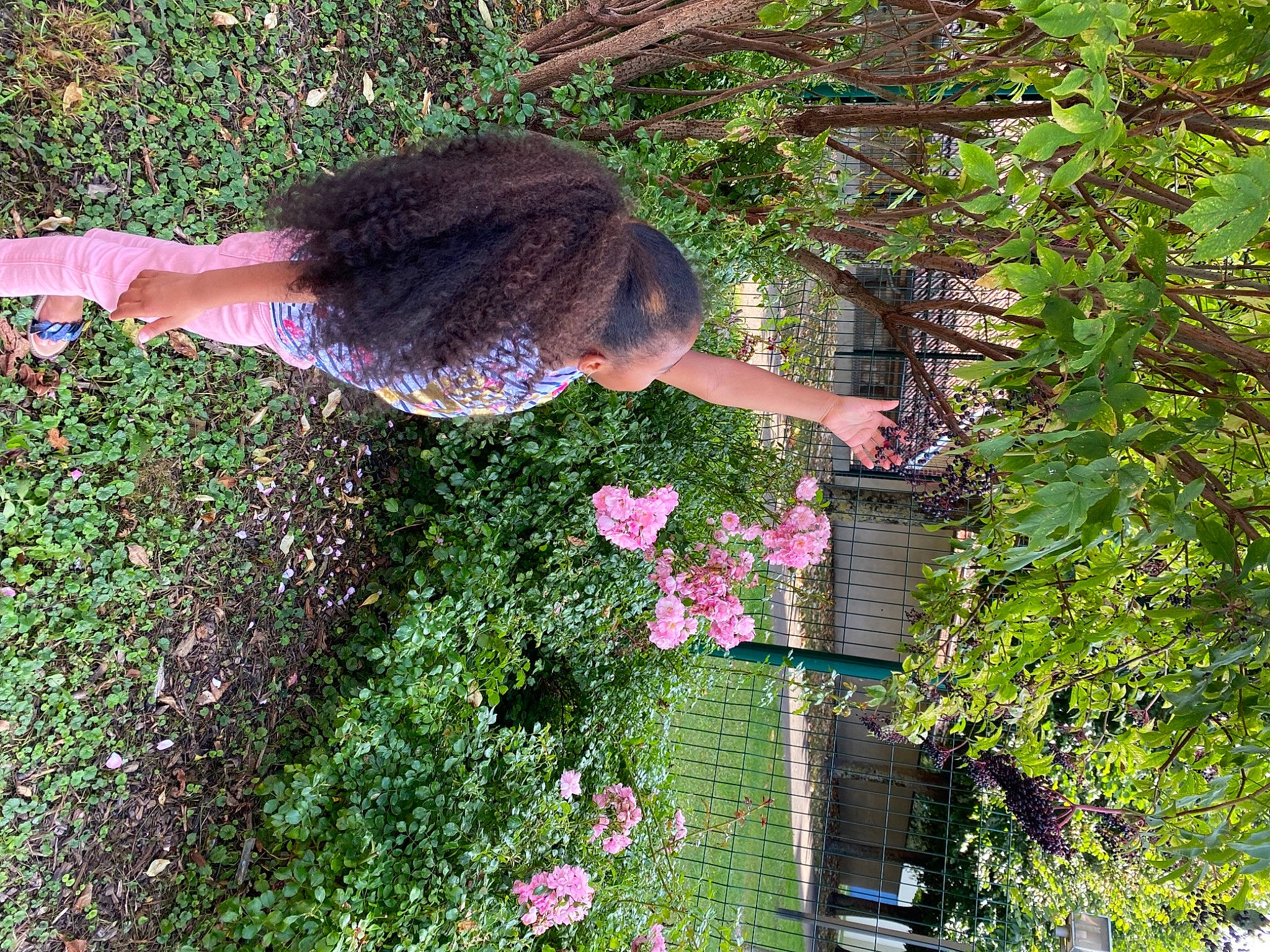 Sora a rejoint le concours — aidez-le/la à gagner de superbes lots ! annual_plant, backyard, botany, flower, flowering_plant, fun, garden, grass, groundcover, landscaping, lawn, leisure, people_in_nature, plant, rose, shrub, tree, vegetation, vertebrate, yard