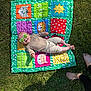 baby, sunglasses, quilt, grass, outdoor, sunlight, baby_clothing, colorful, patchwork, feet, barefoot, smile, infant, cheerful, relaxing, summer, blanket, person, toy, nature
