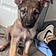Rocco