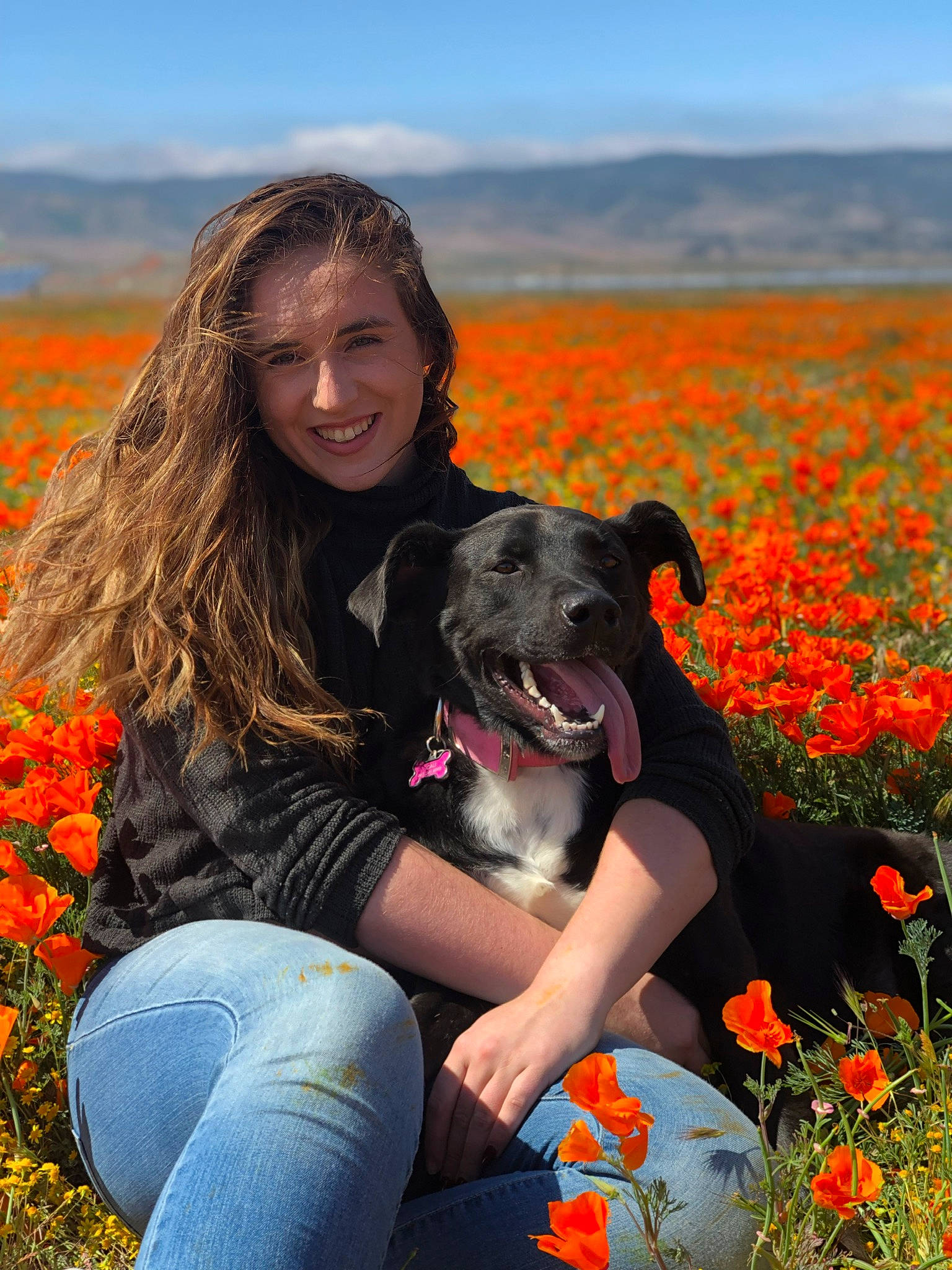 Cali Leanne joined the competition — help win amazing prizes! canidae, carnivore, dog, dog_breed, flower, happy, hunting_dog, people_in_nature, plant, sporting_group, wildflower