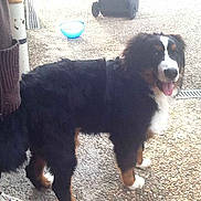 Jady participe au concours pour gagner de l'argent avec cette photo :