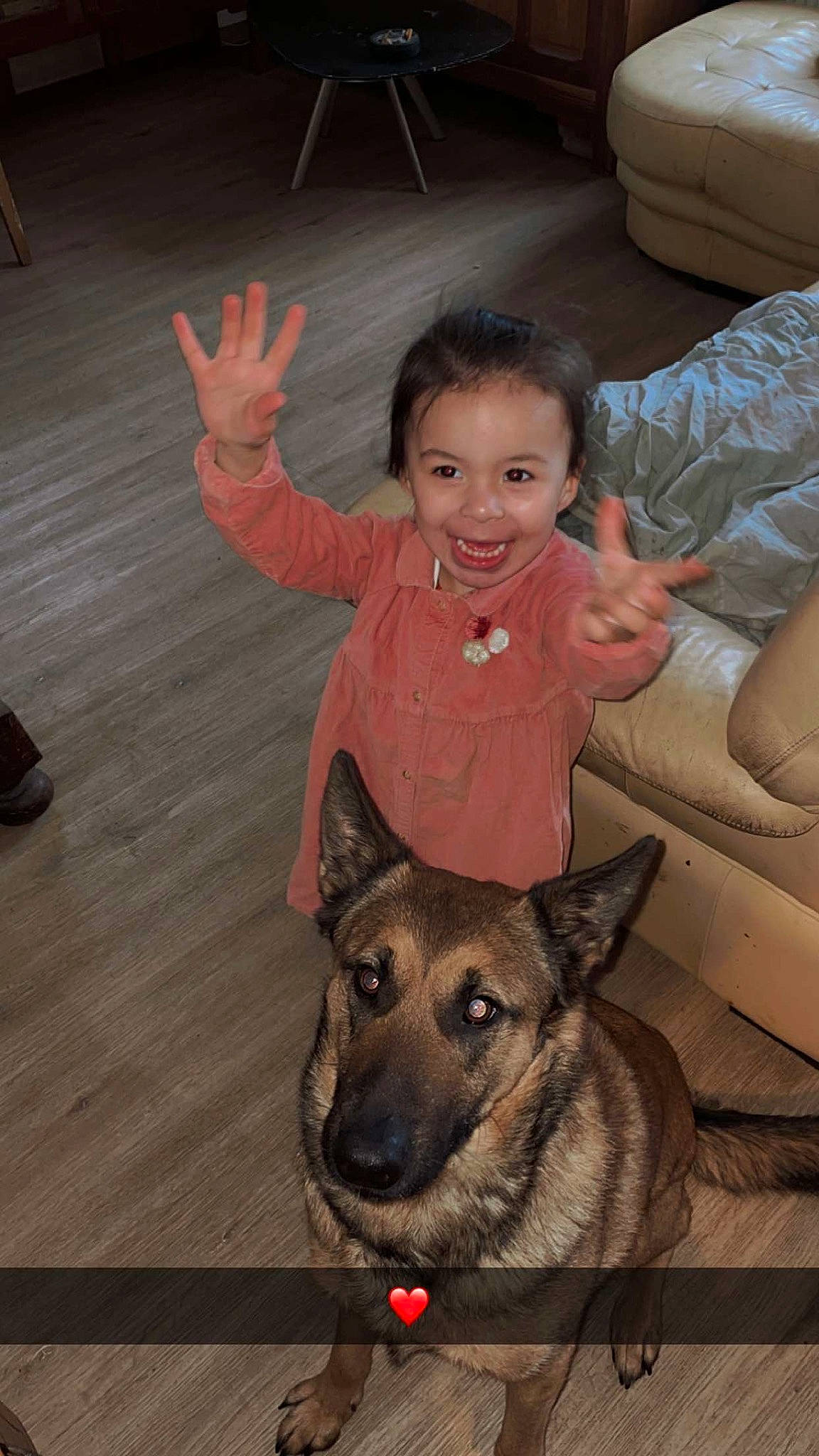 Ilyana participe au concours pour gagner de l'argent avec cette photo : carnivore, child, companion_dog, couch, dog, dog_breed, eye, fawn, flooring, fun, fur, german_shepherd_dog, happy, hardwood, head, joy, person, sitting, skin, smile