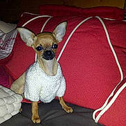 Gallois bruerre a rejoint le concours — aidez-le/la à gagner de superbes lots !