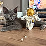 cat, kitten, gray_cat, lego, astronaut_lego, toy, table, wooden_table, vase, pearls, indoor, television, screen, decor, relaxed, pet, animal, furniture, closeup, cute
