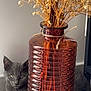 cat, gray_cat, vase, glass_vase, dried_flowers, indoor, curious, pet, animal, feline, decor, table, still_life, cozy, relaxed, natural_light, home, plant, flower_arrangement, interior
