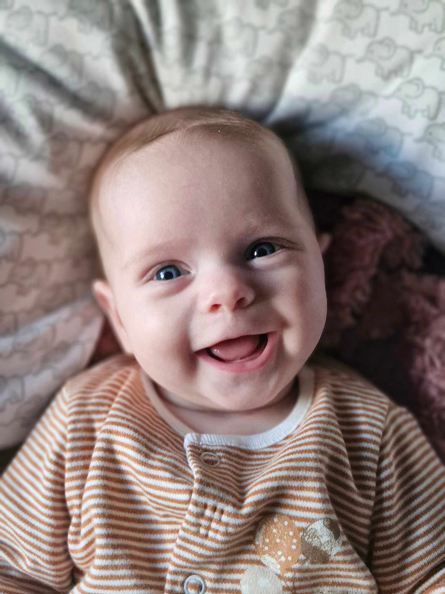Aubree