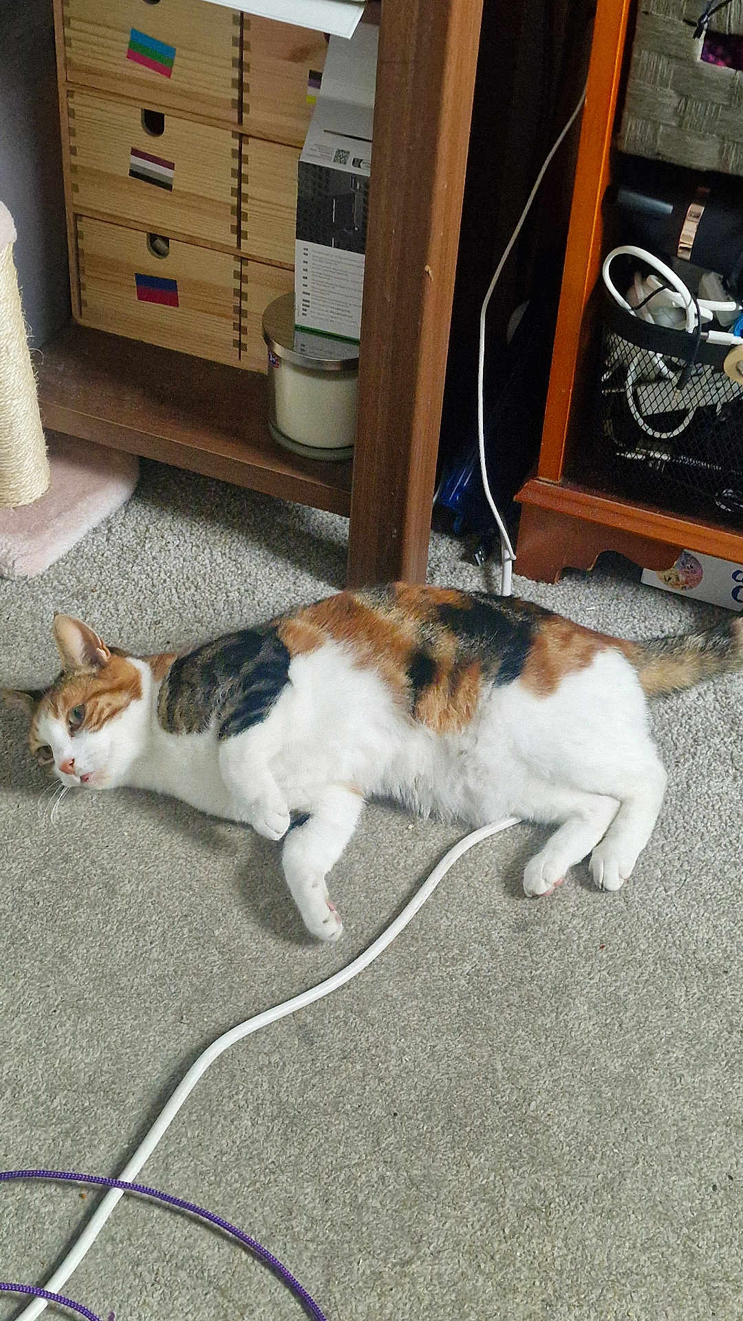 Lucy