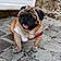 Pepito