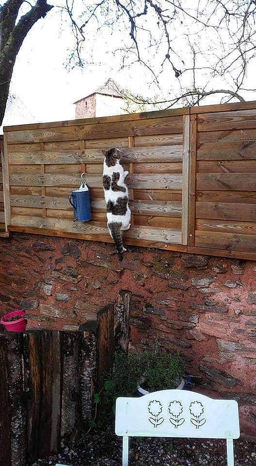 Thelma participe au concours pour gagner de l'argent avec cette photo : brick, brickwork, building, cottage, door, facade, gas, grass, hardwood, house, landscape, plant, roof, siding, sky, tree, twig, winter, wood, wood_stain