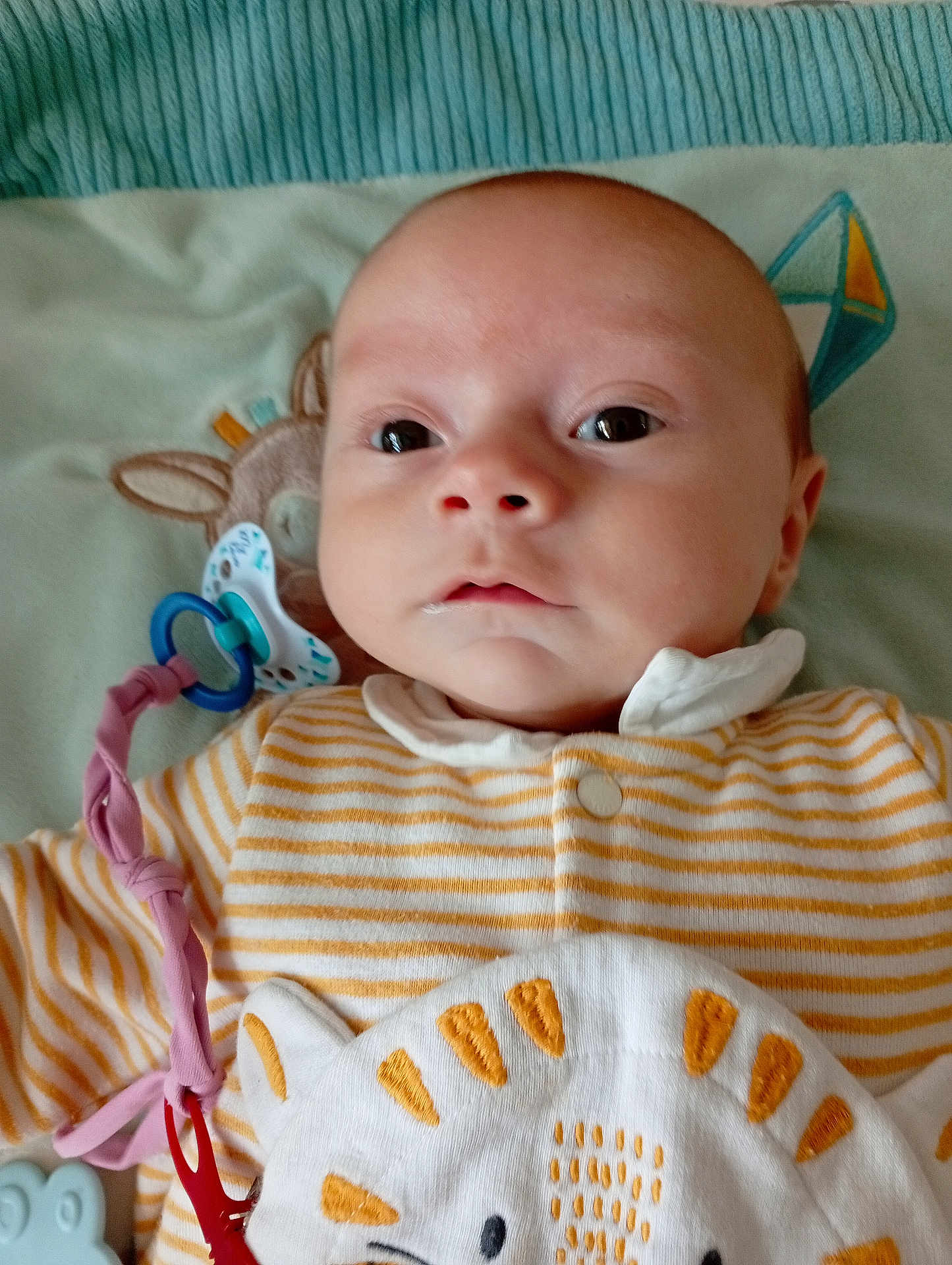 Marius participe au concours pour gagner de l'argent avec cette photo : baby, infant, face, eyes, clothing, striped, pacifier, blanket, soft_toy, cute, child, lying_down, closeup, indoors, adorable, young, expression, comfort, fabric, head