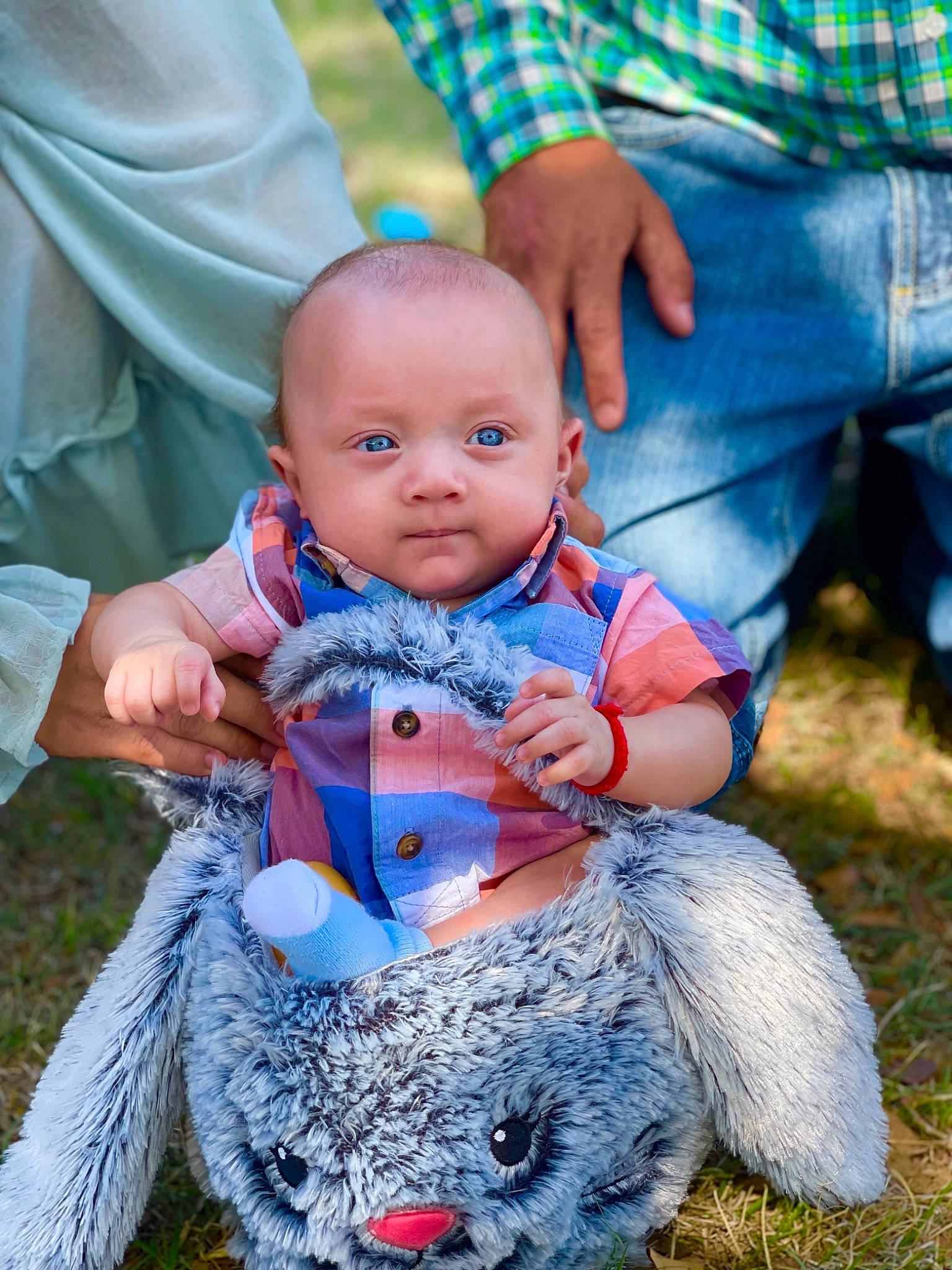 Daniel joined the competition — help win amazing prizes! arm, baby, baby_toddler_clothing, blue, clothing, fun, gesture, grass, green, hand, happy, interaction, jeans, leisure, mammal, people, people_in_nature, person, plant, toddler