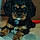 Mylo