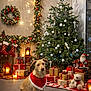 candlelight, cape, christmas_tree, dog, festive, floor, holiday_decorations, indoor, lanterns, lights, ornaments, pine_cones, presents, red_bow, santa_claus_figure, sitting, stockings, teddy_bear, window, wreath