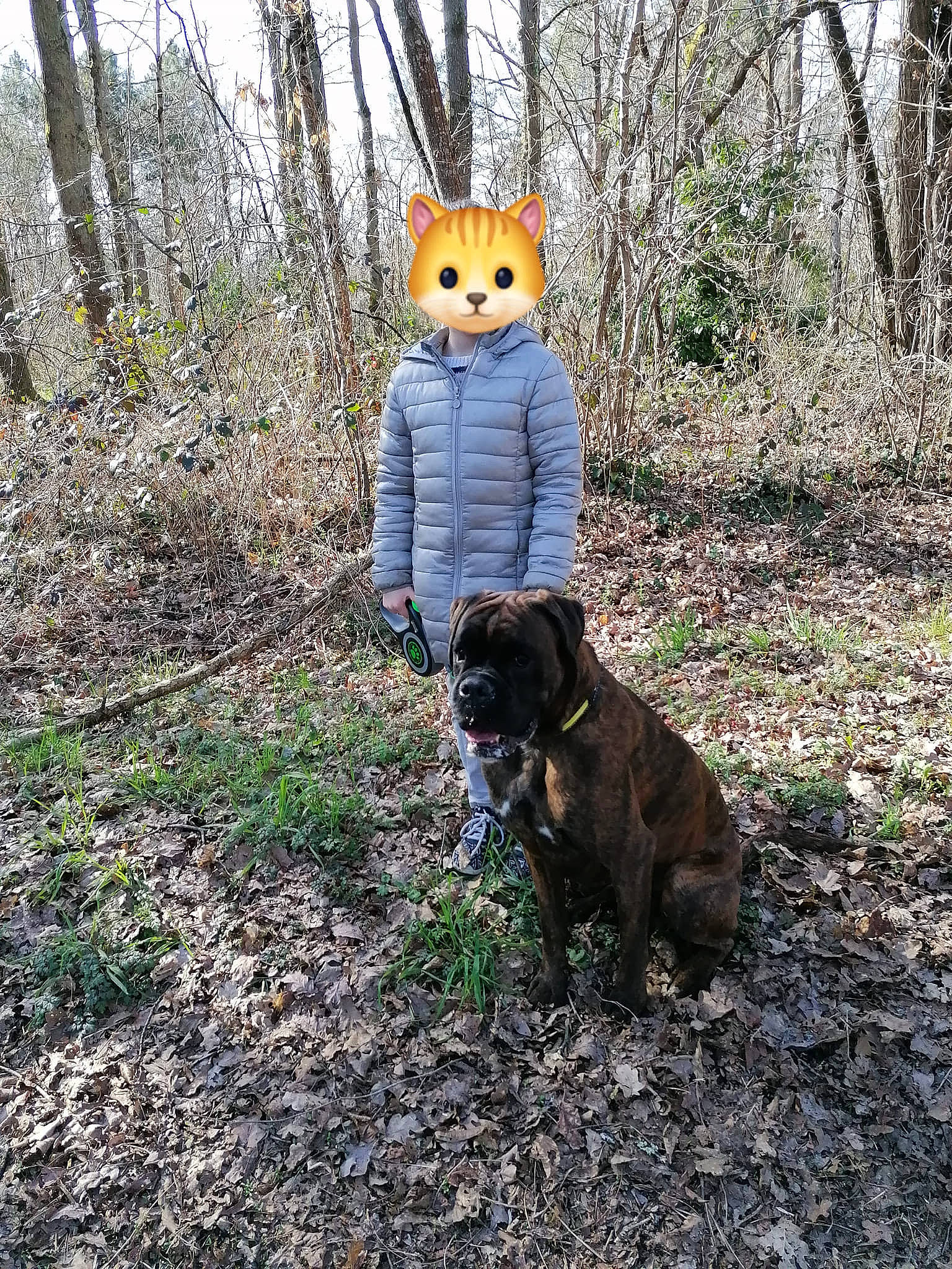 Ryo R.c.m participe au concours pour gagner de l'argent avec cette photo : canidae, carnivore, companion_dog, dog, dog_breed, fawn, forest, fur, grass, mammal, people_in_nature, plant, soil, sporting_group, tail, tree, vertebrate, wood, woodland, working_animal