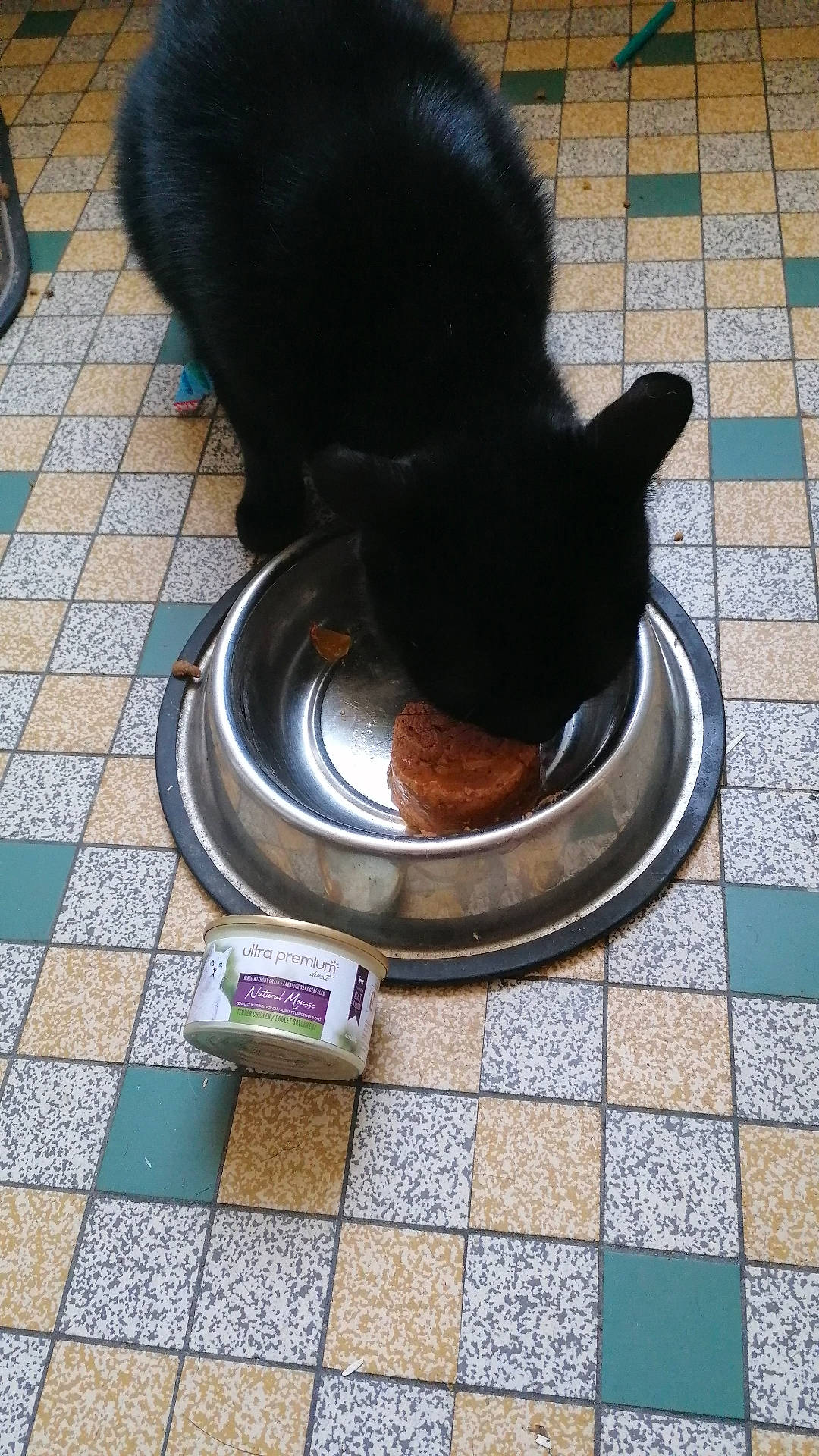 Clara participe au concours pour gagner de l'argent avec cette photo : animal_feed, black_cat, carnivore, cat, cat_food, cat_supply, circle, cobblestone, domestic_short_haired_cat, felidae, floor, flooring, ingredient, pet_food, pet_supply, road_surface, small_to_medium_sized_cats, tail, whiskers, wood