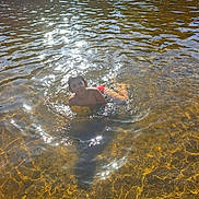 Johan participe au concours pour gagner de l'argent avec cette photo : child, boy, water, swimming, sunlight, reflection, outdoor, summer, playful, river, people, group, recreation, fun, nature, wet, swim_trunks, daylight, happy, leisure
