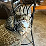tabby_cat, cat, pet, feline, indoor, chair, patterned_cushion, green_eyes, fur, whiskers, relaxed, seated, metal_chair, home, cozy, domestic_animal, animal, looking_up, closeup, blurred_background