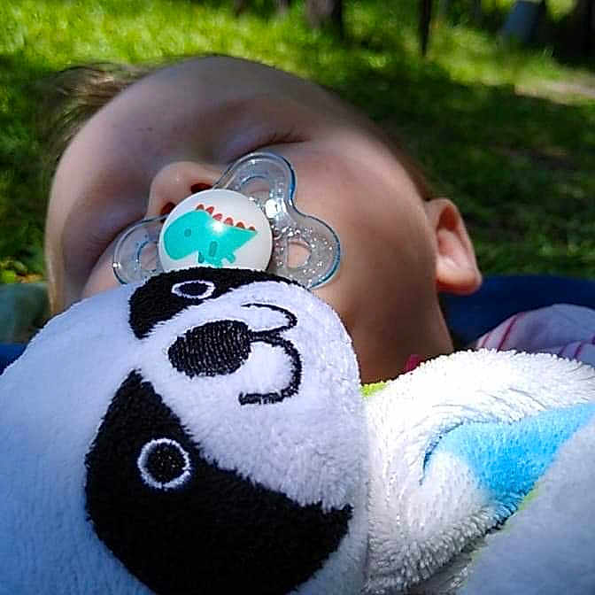 Dexter is registered to the contest to win money with this photo: glasses, grass