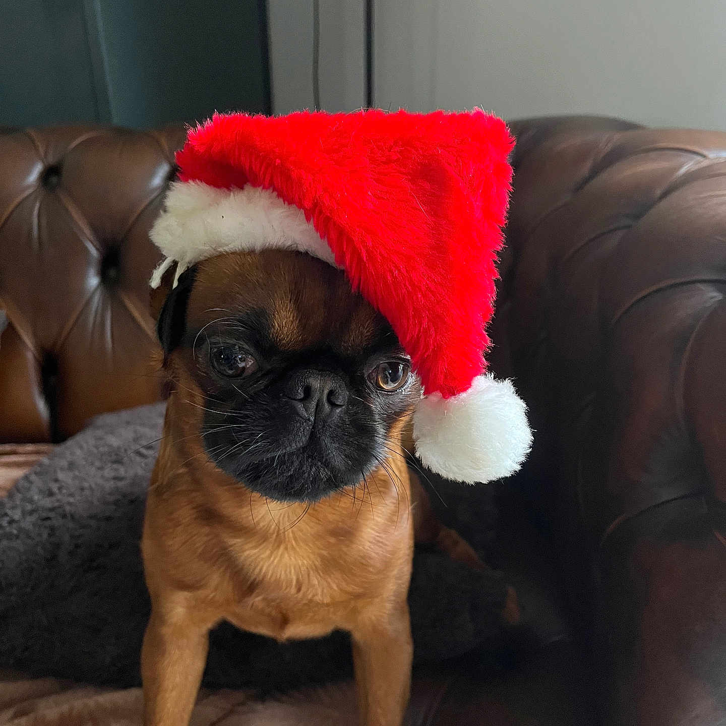 Titch
