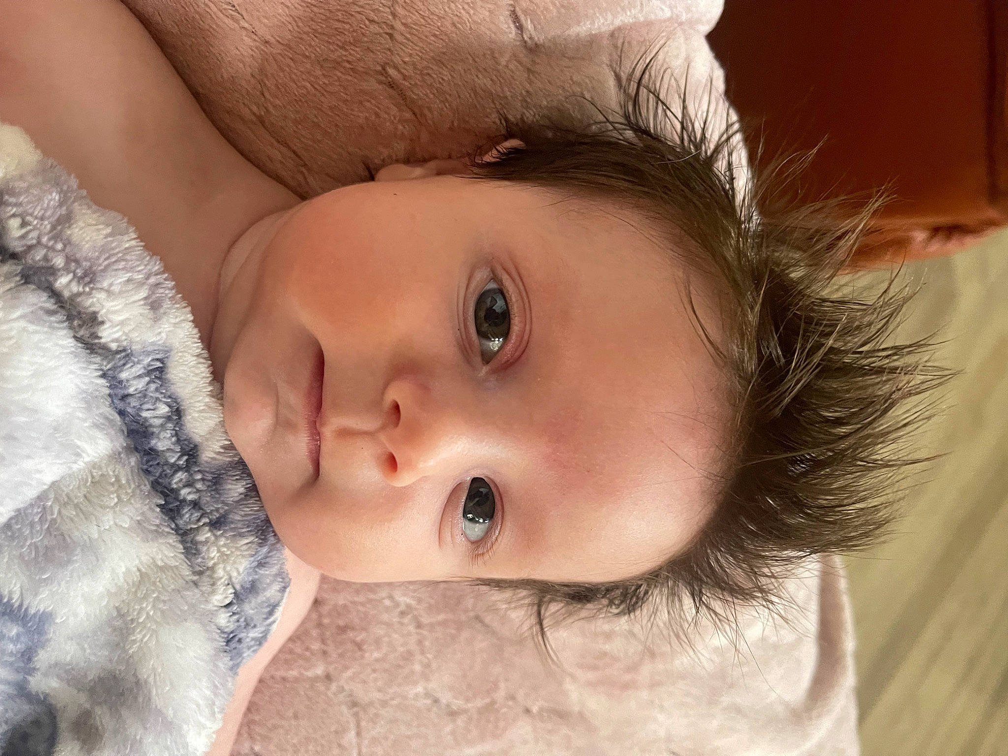 Genevieve joined the competition — help win amazing prizes! cheek, chin, close_up, ear, eye, eyebrow, eyelash, flash_photography, happy, headgear, human_body, iris, lip, mouth, neck, nose, person, skin, toddler, tree