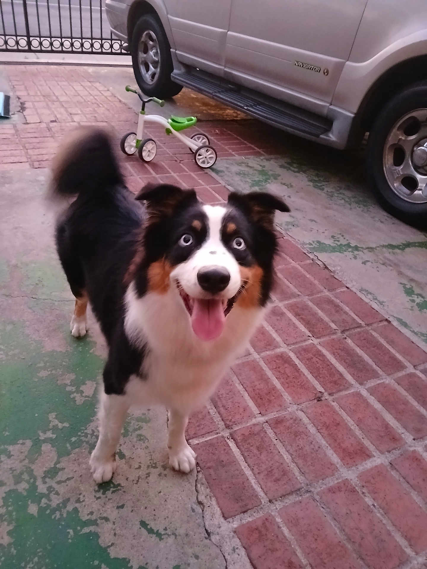 Charlie