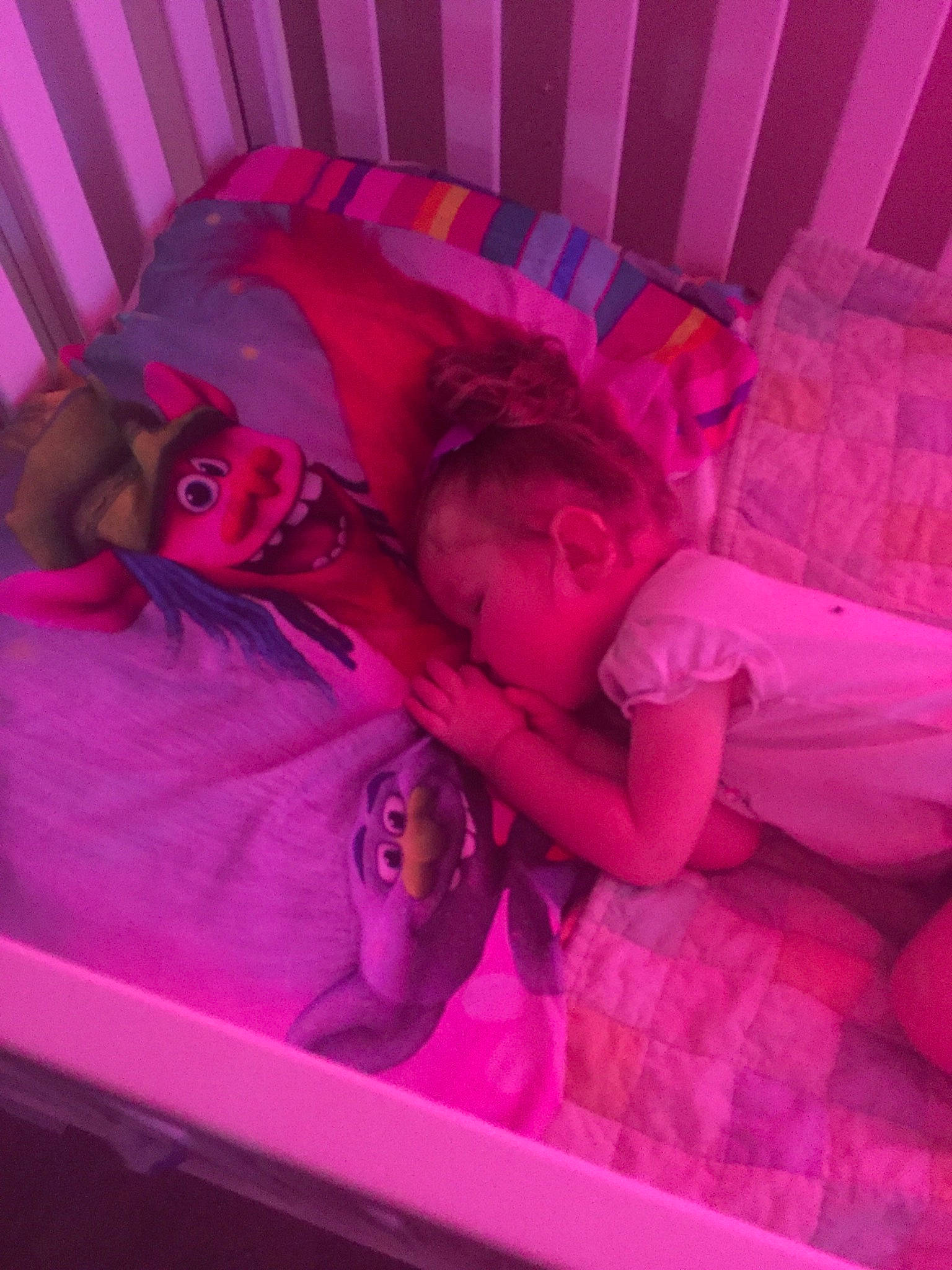 Addalyn joined the competition — help win amazing prizes! flower, fun, leg, magenta, mouth, person, pink, plant, purple, red, smile, textile, violet