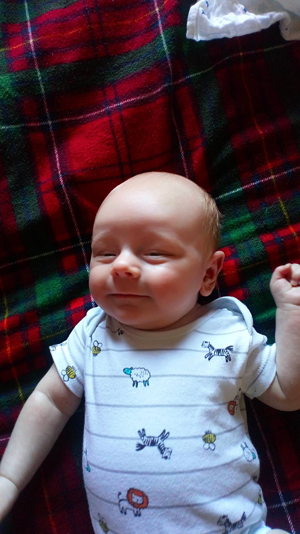 Benny is registered to the contest to win money with this photo: baby, cheek, child, design, ear, face, facial_expression, fun, head, nose, pattern, person, plaid, skin, smile, tartan, textile, toddler