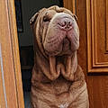 Bruno M. C.