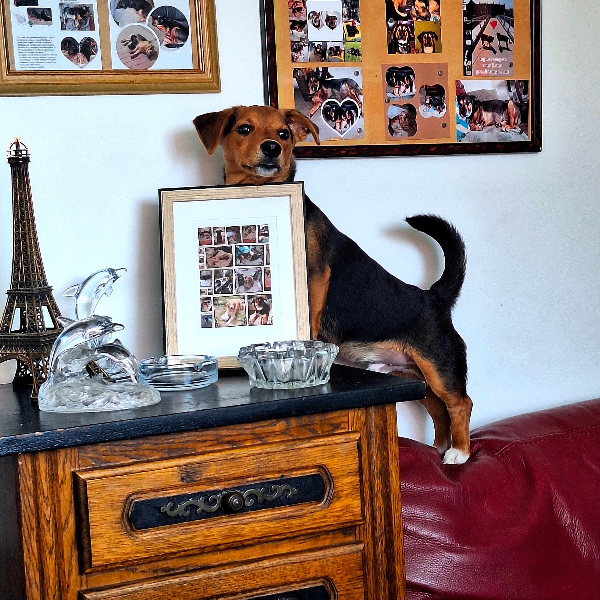 Filou