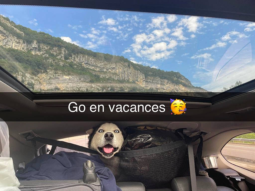 Loucky participe au concours pour gagner de l'argent avec cette photo : asphalt, auto_part, automotive_design, automotive_exterior, automotive_mirror, automotive_tire, automotive_wheel_system, cloud, family_car, landscape, mode_of_transport, motor_vehicle, mountain, personal_luxury_car, rear_view_mirror, sky, steering_wheel, travel, vehicle_door, windshield