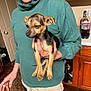 man, dog, indoor, kitchen, holding, small_dog, green_sweatshirt, mustache, wooden_cabinets, bottle, counter, floor, carpet, hand, facial_hair, casual_clothing, expression, pet, domestic, person